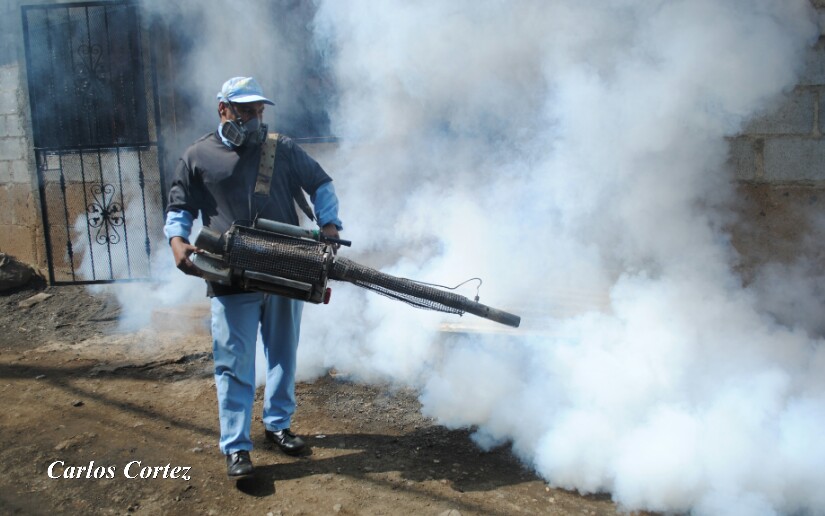 Fumigar2